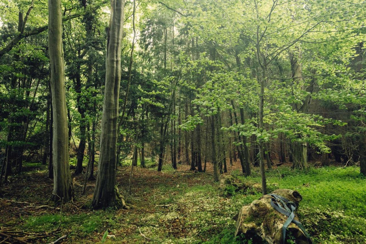 Castledillon Estate Cottageアーマー エクステリア 写真