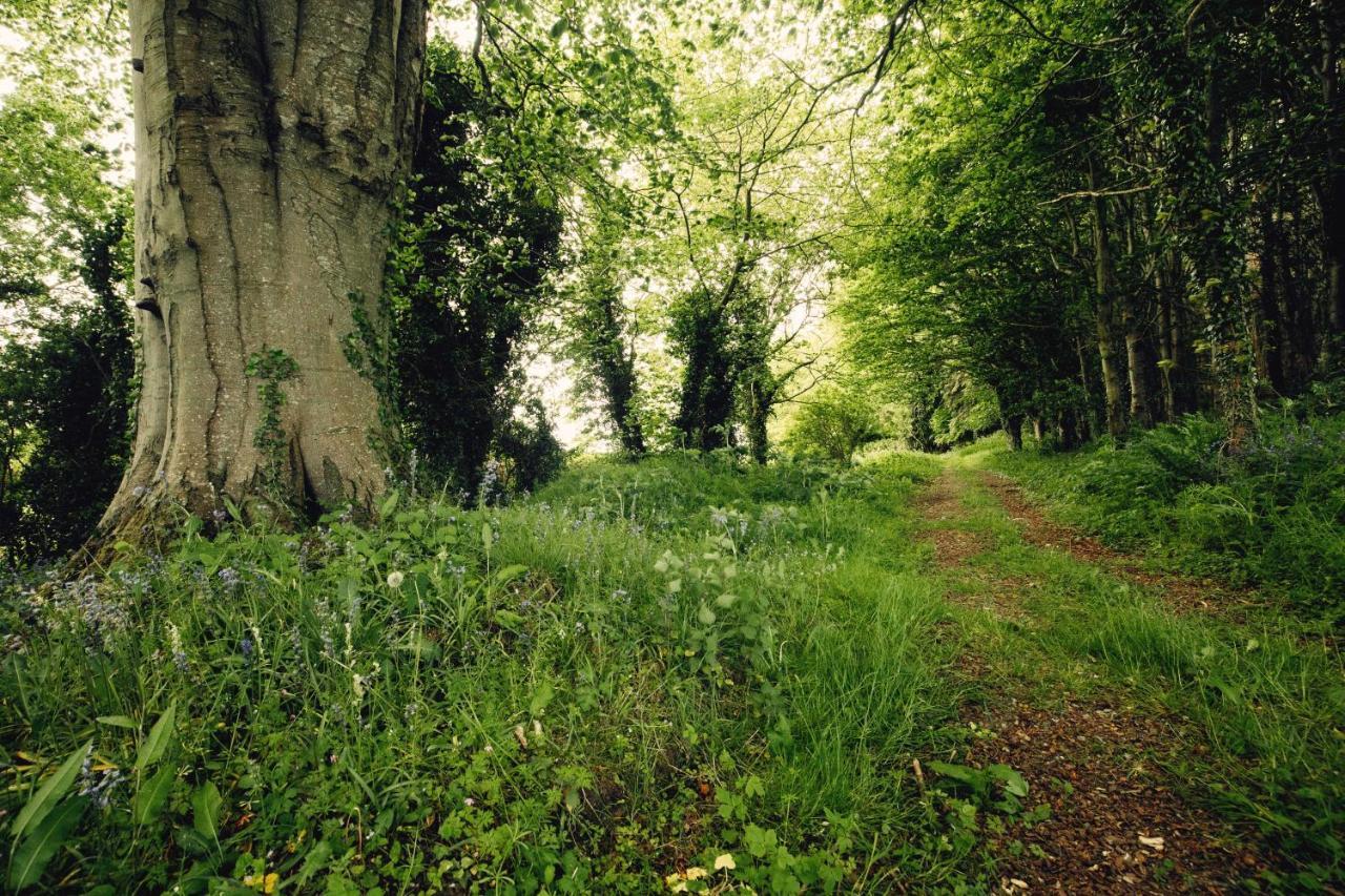 Castledillon Estate Cottageアーマー エクステリア 写真