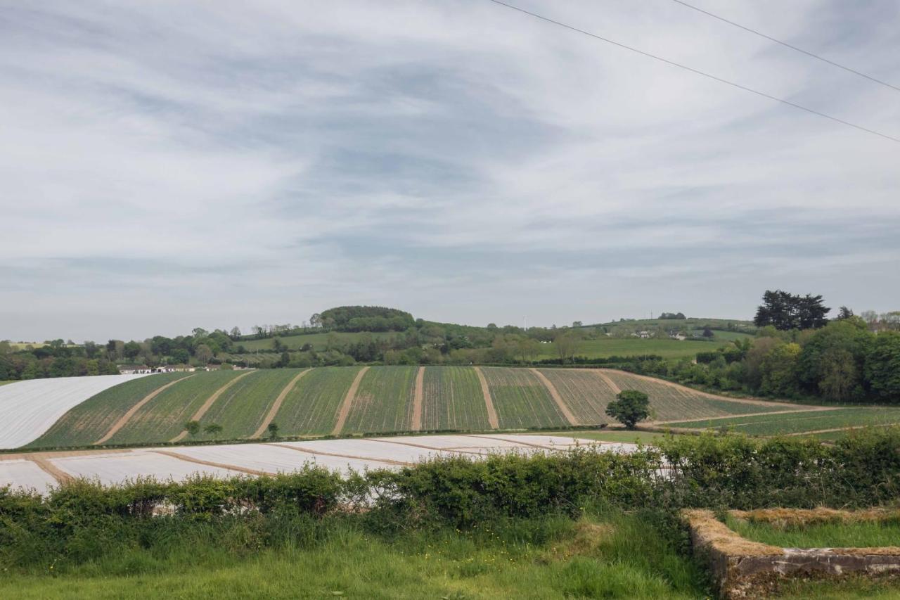 Castledillon Estate Cottageアーマー エクステリア 写真